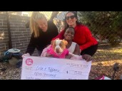 Atlanta community raises $15K, reunites dog with owner after months of homelessness