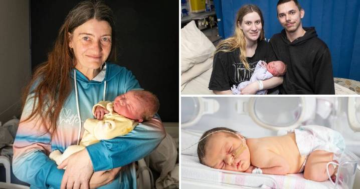 GALLERY: Celebrate the newest residents of the North