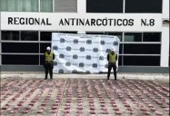 Policía incautó 347 kilos de cocaína camuflados en cargamento de banano en el puerto de Santa Marta