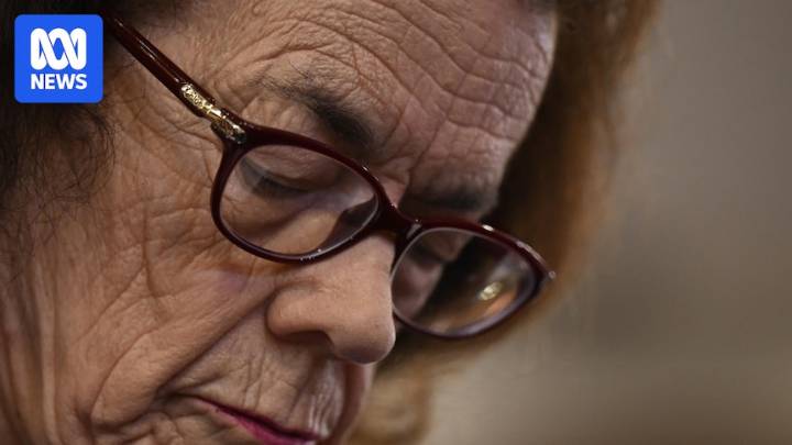 On November 11, 1975 I watched history being made, from the best seats in the house