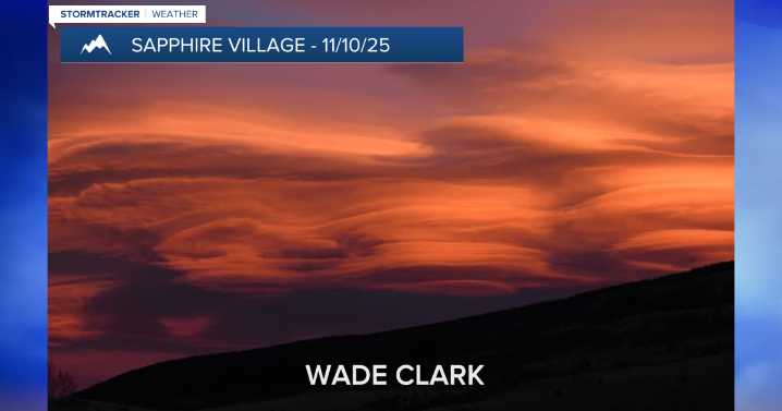 Trending News (Tuesday, November 11, 2025)