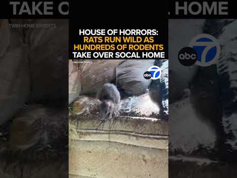 Rat-infested SoCal home frustrates neighbors