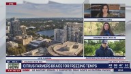 Citrus farmers brace for freezing temps