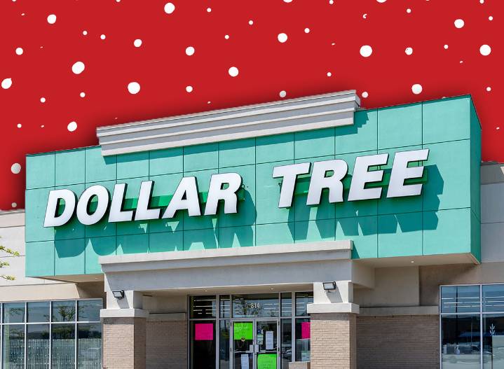 11 Best New Dollar Tree Winter Decor Finds Hitting Stores This Week