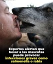 Expertos alertan sobre que besar a las mascotas pueden provocarles graves infecciones