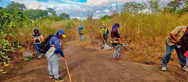 Ejecutan plan de embellecimiento en el parque La Llovizna