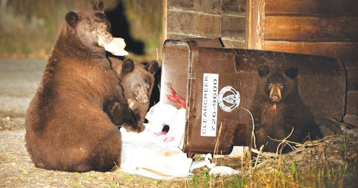 Ketchum begins trash can swap