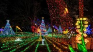 Lincoln Park ZooLights, Morton Illumination tickets on sale