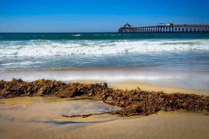 At Least 4 Dead, 5 Others Injured After Boat Capsized Off the Coast of San Diego