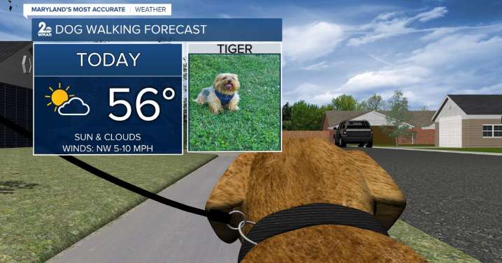 Sunshine to start off Thanksgiving week!