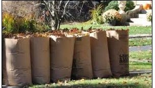 Is it legal to burn leaves in my yard in Alabama? What to know