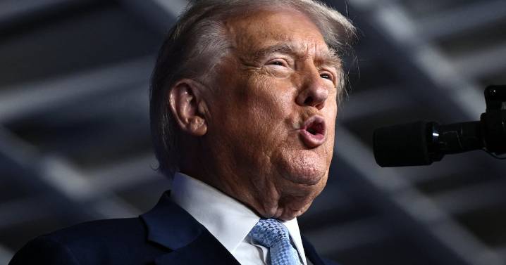 Democrats Brutally Troll Donald Trump’s Raspy Voice with NSFW Meme