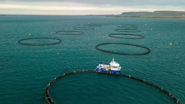 CONAFAB destaca el crecimiento del 6% en la acuacultura mexicana