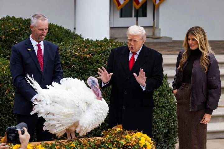 Trump indulta a dos pavos por Acción de Gracias con burlas a Biden y otros demócratas