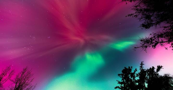 Photos: The Northern Lights Put on a Show