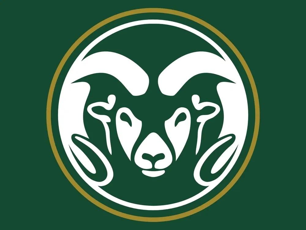 Boise State AD Issues Firm Statement After CSU Suspends QB Over ‘Unsportsmanlike’ Act