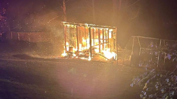 More than 2 dozen birds saved in Catskill shed fire