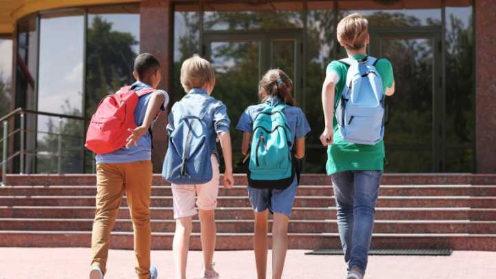 Los docentes de Navarra alzan la voz: exigen respeto y estabilidad