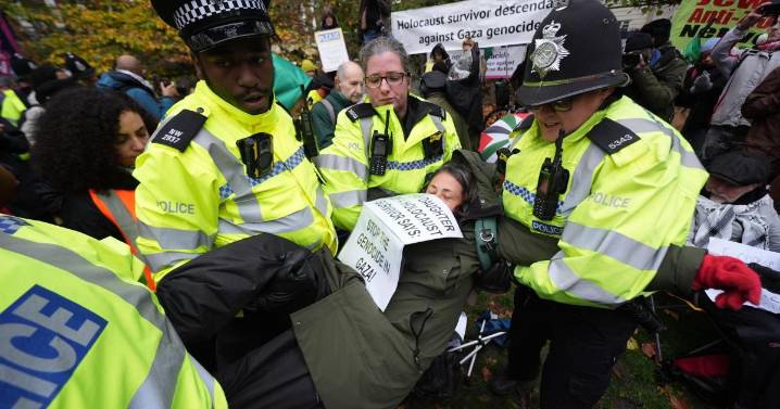 Daughter of Holocaust survivor among those arrested at Palestine Action protest