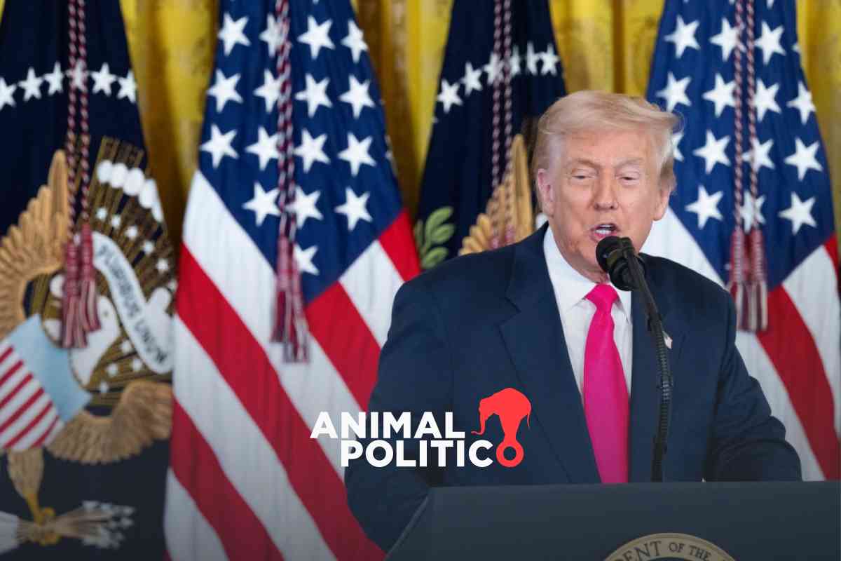 Trump retira aranceles a importaciones de carne de res, café y tomates