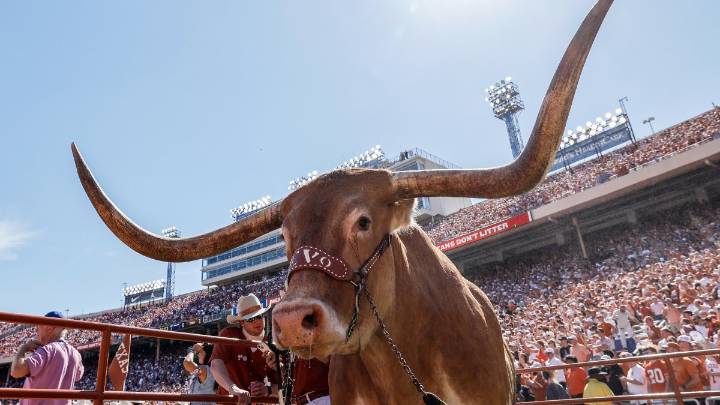 Live animals as college football mascots — beloved or outdated? – NBC10 Philadelphia