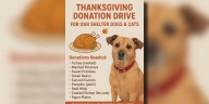 Meade County Animal Control asks for donations for shelter pet Thanksgiving meals