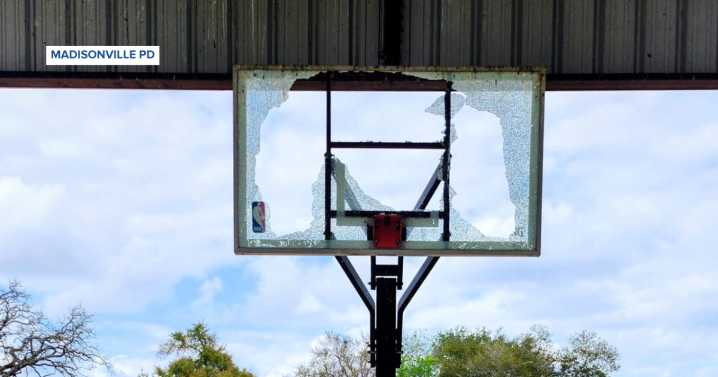 Basketball equipment damaged at Madisonville park