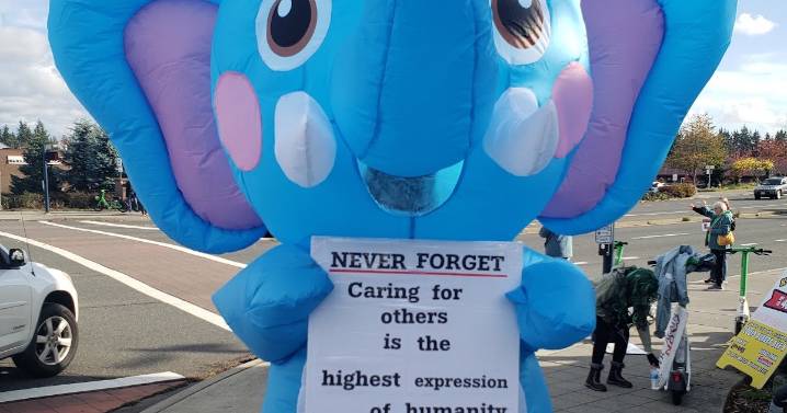 Social Justice Sunday