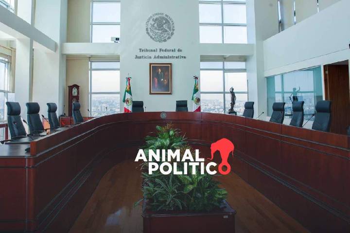 Senado alista ratificación de cercanos a Morena en el Tribunal Federal de Justicia Administrativa