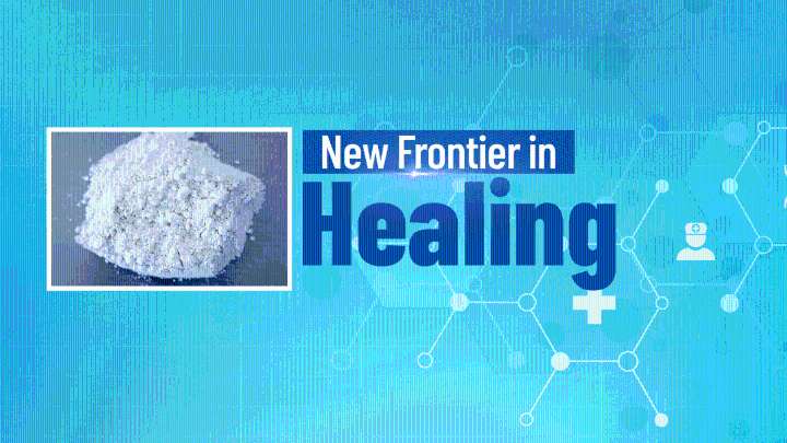 Inside Ibogaine: A New Frontier in Healing