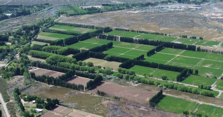 Crecen los modelos agroecológicos en municipios del Alto Valle: «Deja de ser una idea y empieza a ser una política local»