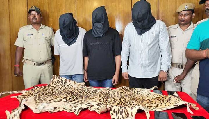 Leopard Skin Trafficking Racket Busted In Bhubaneswar, Three Held