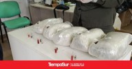 Río Gallegos Gendarmería secuestró 20 kilos de marihuana y detuvo a una mujer