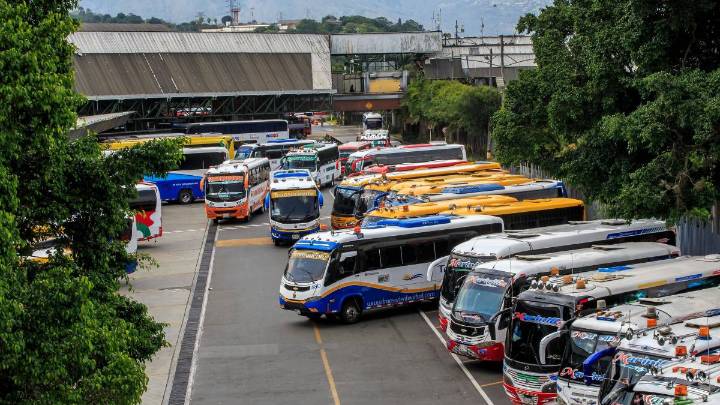 SuperTransporte tiene bajo la lupa a 113 empresas por incumplir norma sobre transporte de menores