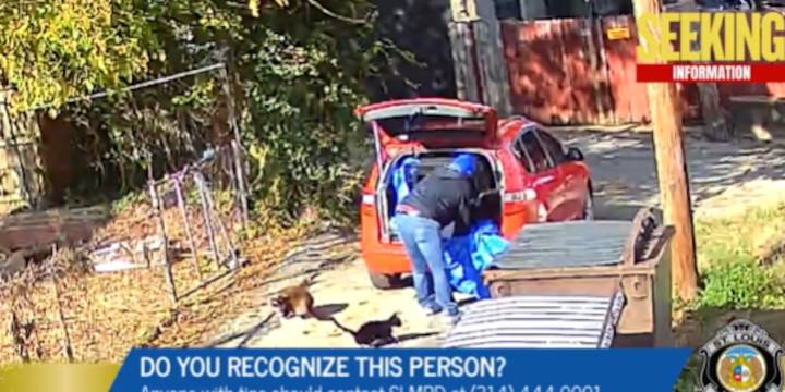 WATCH: Police asks for help after man discards cats in alleyway