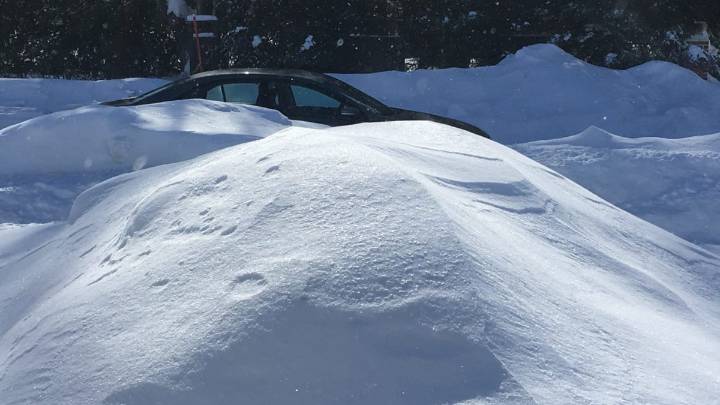 One Million Manitobans Trapped in their Driveways Due to Obstructed Views