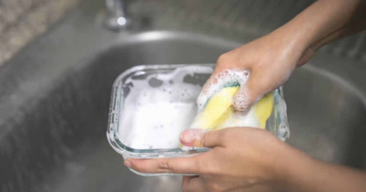 UK households with kitchen sponges warned to stop using them 'immediately'