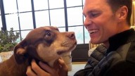Tom Brady confiesa que clonó a su perra Lua antes de morir