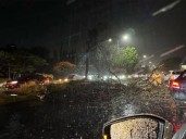 Por Norte Violento, Veracruz está en Alerta Gris