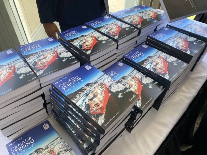 Feds to shed almost 30,000 public service jobs: Budget 2025