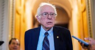 Bernie Sanders warns AI could deepen inequality and reshape war