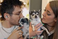 Jenna Marbles' Husband Fights Back Tears While Discussing Dog's 'End of Life' Plans