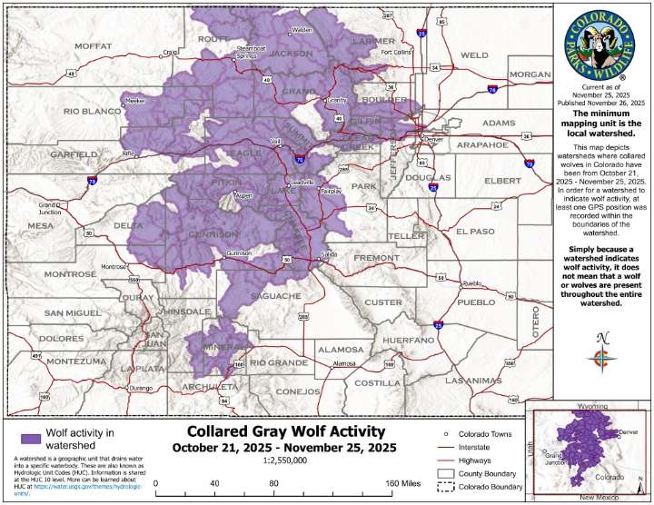 Here's where Colorado's gray wolves roamed in the last month
