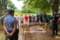 Cuatreros Atrapados: mataron ciervos de los pantanos en Corrientes. Imágenes