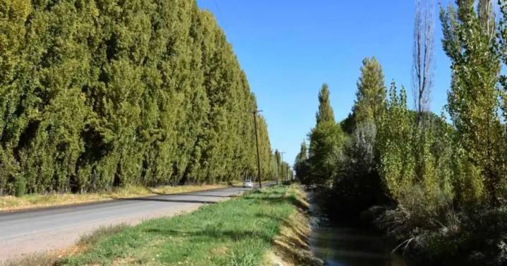Murió un hombre aplastado por un tractor: fue encontrado en un paraje rural cerca de Viedma
