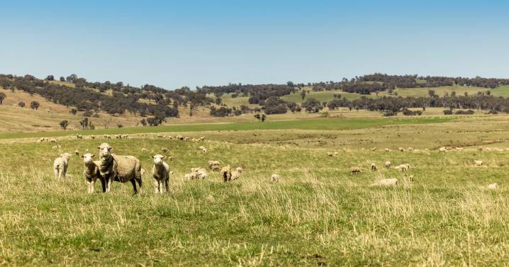 Ferguson to sell quality $8.5m Southern Tablelands property