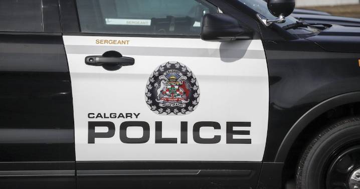 Calgary police officers charged with sexual misconduct