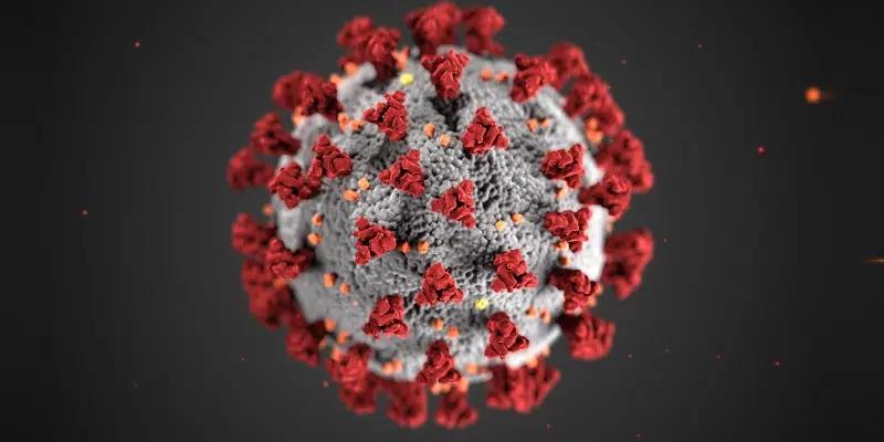 Study Finds Elevated Risk for Children Born to Mothers Who Had COVID