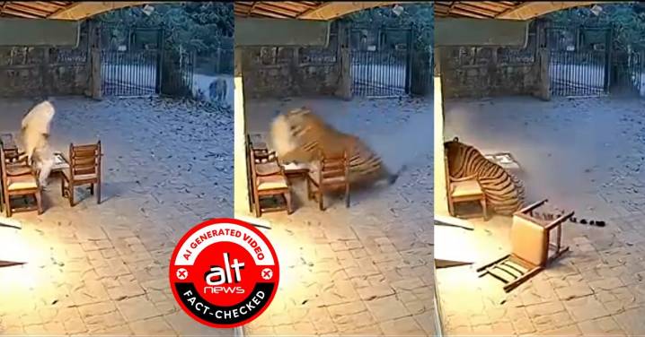 CCTV footage shows tiger attacking man in Maharashtra? No, viral clip is AI