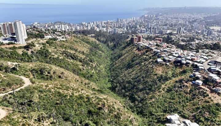 Parque Kan Kan de Viña fue reconocido como humedal urbano: es el 26° ecosistema acuático en ser declarado en la V Región